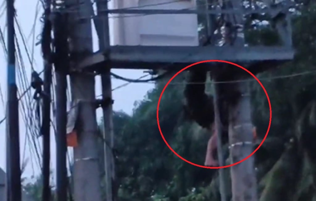 Viral Detik-Detik Pencuri Kabel di Jambi Gosong Terpanggang Listrik 20.000 Volt