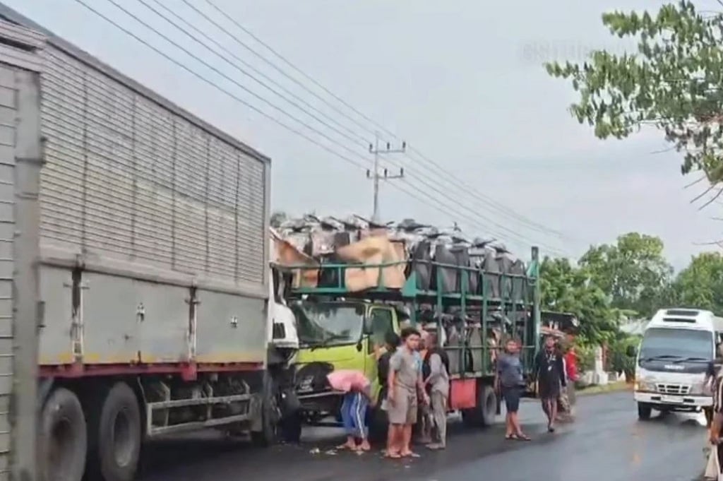 Kecelakaan di Jalur Pantura Situbondo, 2 Truk Bertabrakan Picu Kemacetan