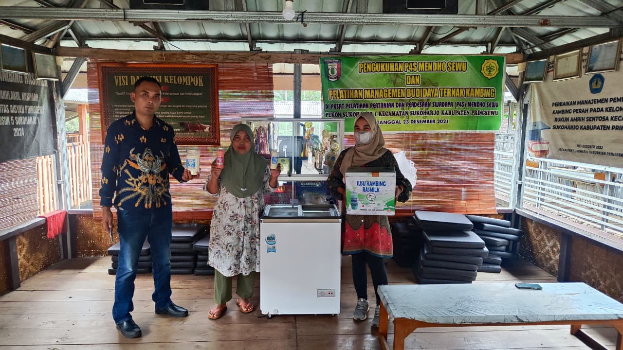 Capai 100 Ekor, Ini Kisah UMKM Susu Kambing Ras Farm Tumbuh Pesat berkat KUR BRI