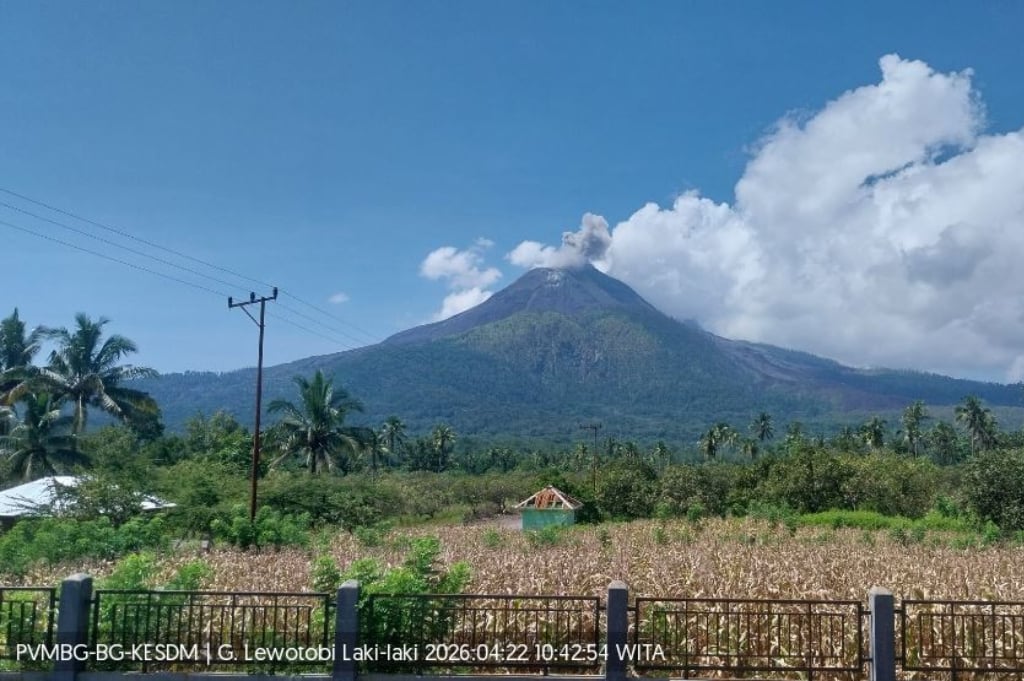 Gunung Lewotobi Laki-laki di NTT Erupsi, Muntahkan Abu Vulkanis Setinggi 300 Meter