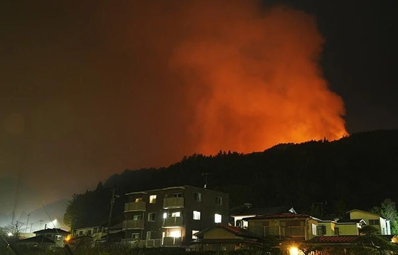 Jepang Dilanda Kebakaran Hutan Dahsyat, Ribuan Orang Dievakuasi