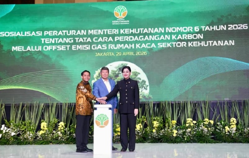 Hashim Tegaskan RI Serius Tekan Emisi Karbon, Diperkuat Lewat Regulasi 