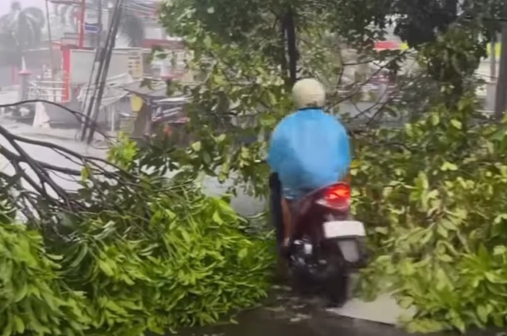 Hujan Deras dan Angin Kencang, Pohon di 7 Kelurahan Bekasi Tumbang