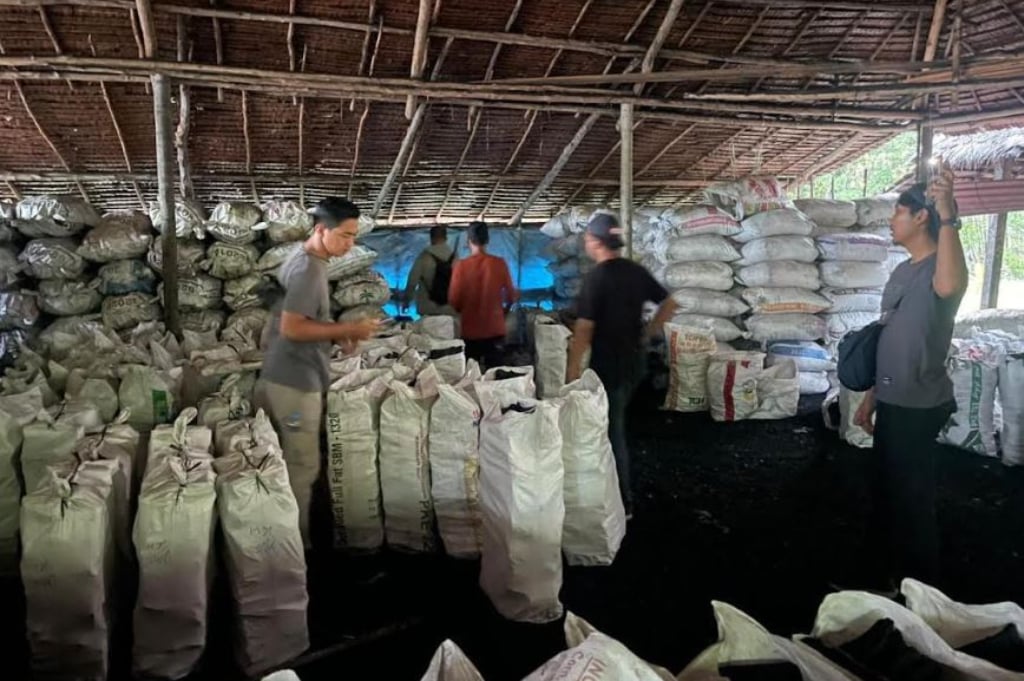 Polda Riau Tindak Perusak Hutan Mangrove di Meranti, Sita Ribuan Karung Arang Bakau Ilegal