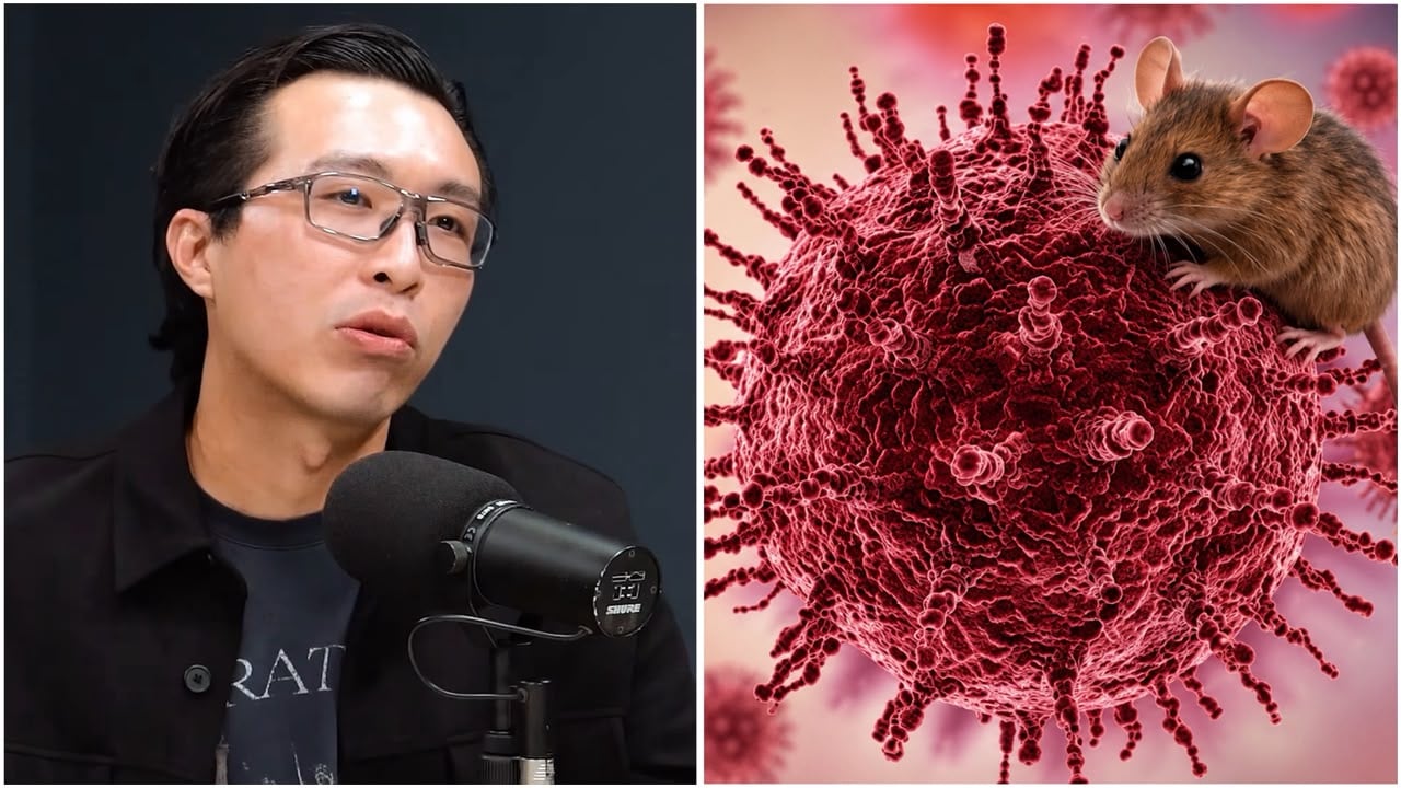 Jangan Panik! Dokter Tirta Tegaskan Hantavirus Bisa Dicegah dengan Jaga Kebersihan