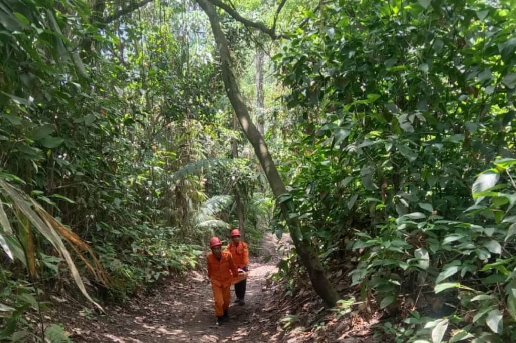 20 Pendaki Tersesat dan Terluka saat Gunung Dukono Meletus, Salah Satu WNA Singapura