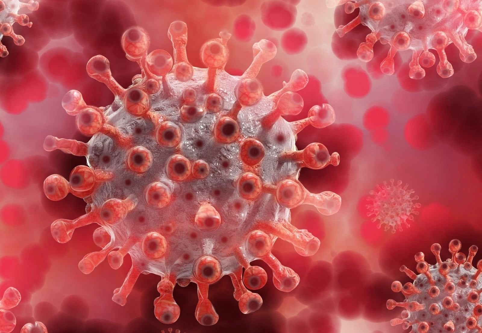 Beda Hantavirus Israel dengan Outbreak di Kapal Pesiar MV Hondius, Ini Bahayanya!