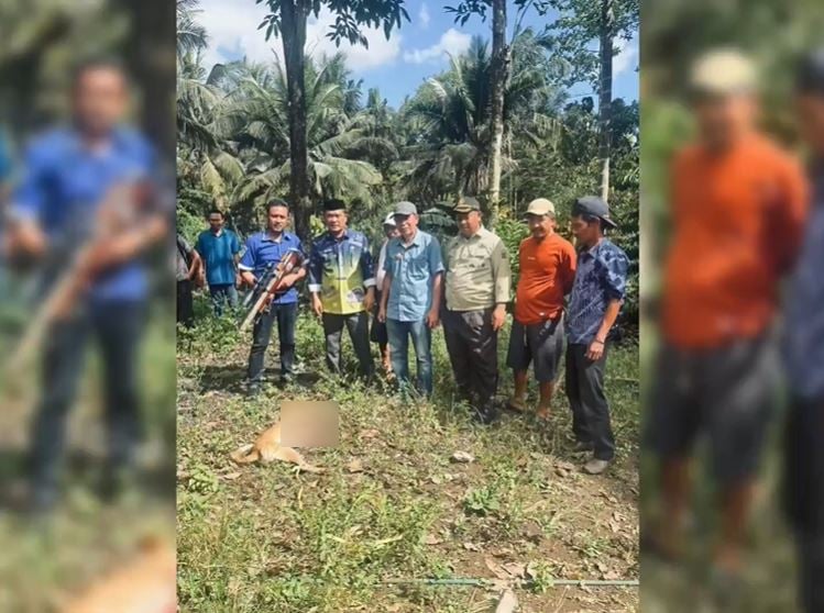 Geger! Anjing Gila Positif Rabies Gigit 8 Warga di Maros, Akhirnya Ditembak Mati