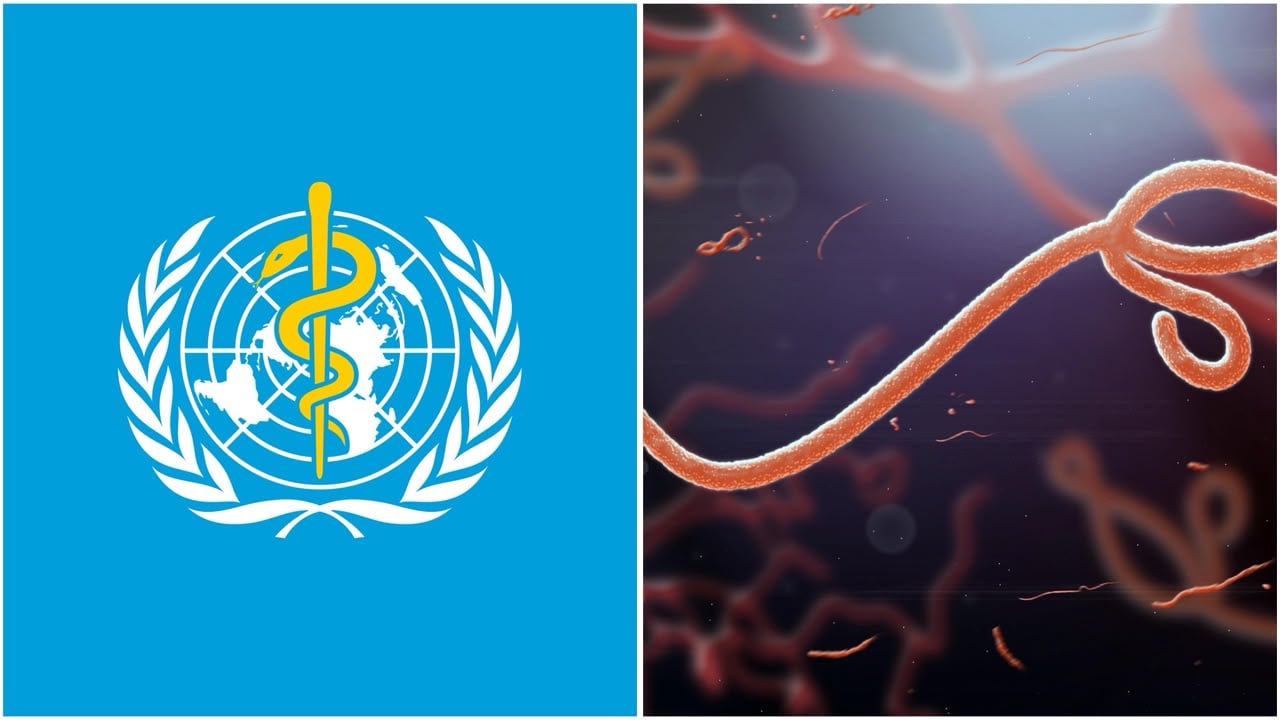 WHO Tetapkan Wabah Ebola sebagai Darurat Global, 80 Orang Meninggal Dunia