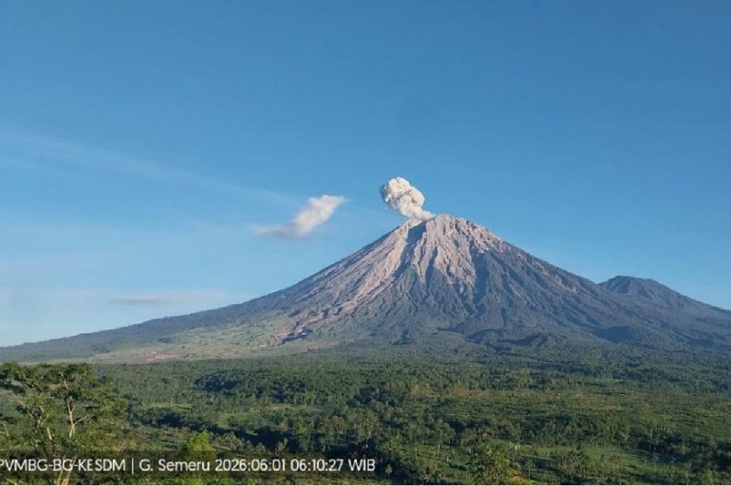Gunung Semeru Erupsi Pagi Ini, Kolom Abu Membubung 800 Meter dari Puncak