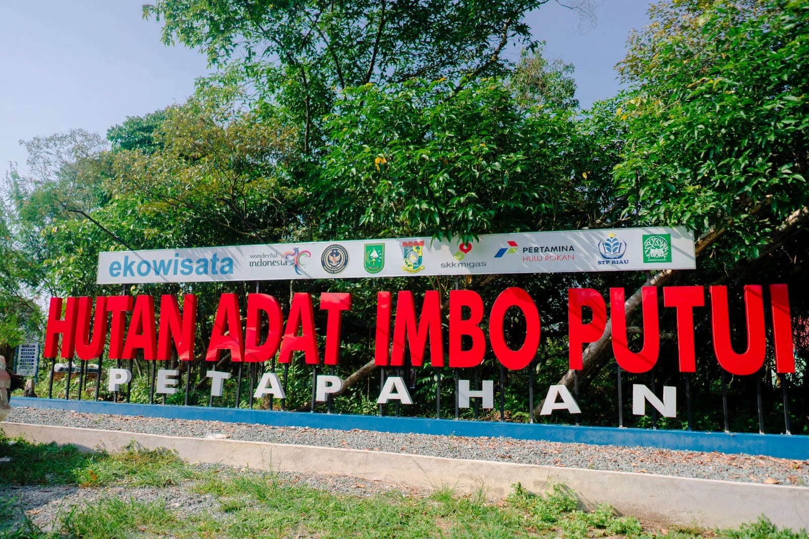 Indahnya Hutan Adat Imbo Putui, Suguhkan Keseimbangan Ekonomi dan Alam Berkelanjutan