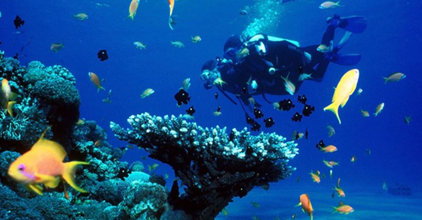Kembar Island Karimunjawa