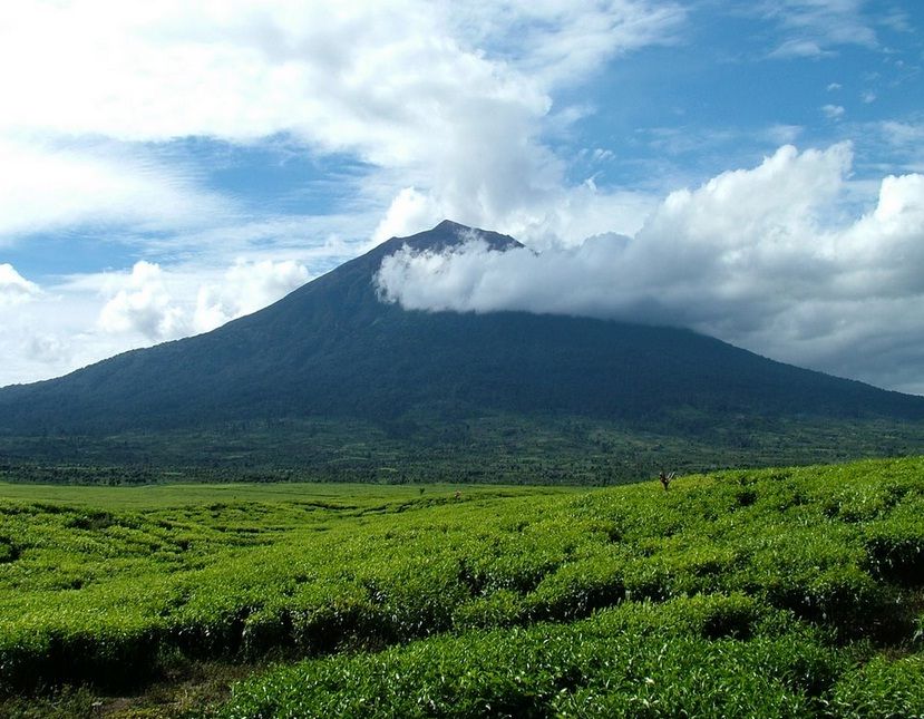 7 Puncak Gunung Menakjubkan di  Indonesia  Tertinggi  