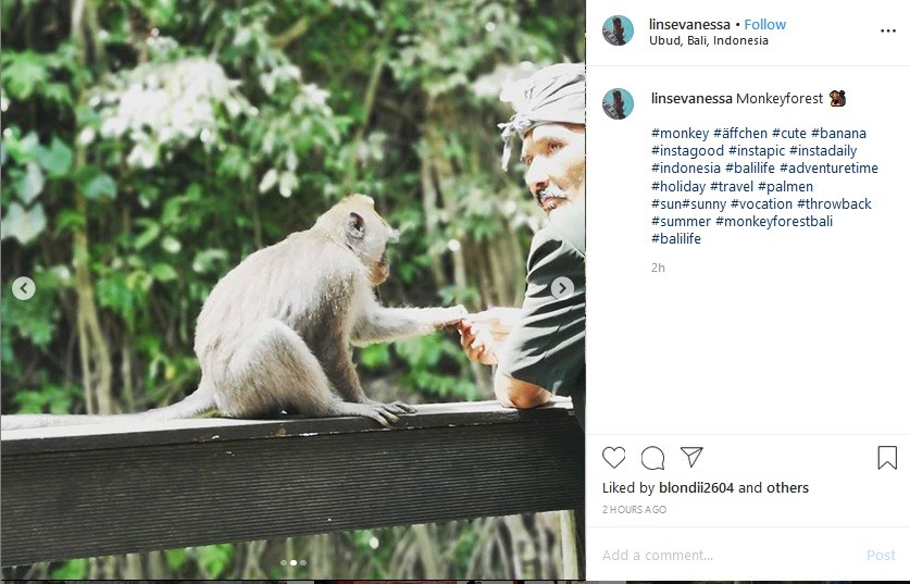 Monkey2