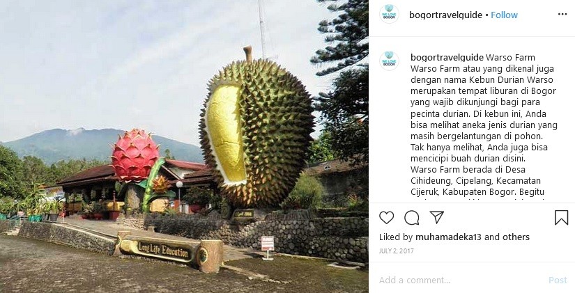 Kebun Durian Warso Farm Wisata Petik Buah Dan Kulineran Terpopuler Di Bogor