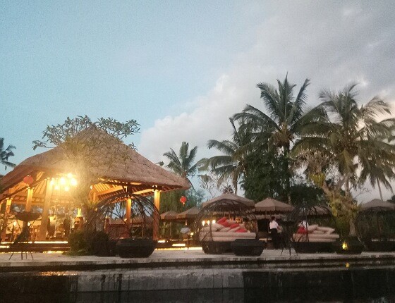 IMG 11022020 113147 560 X 430 Piksel
