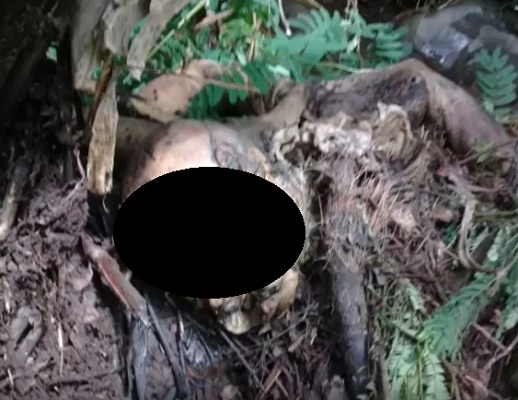 mayat busuk gunung agung Penemuan mayat busuk di lereng Gunung Agung Bali