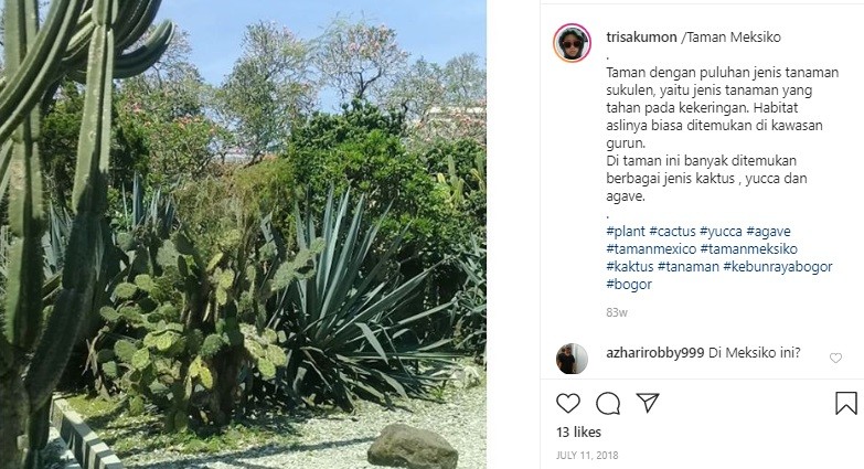 Taman Meksiko