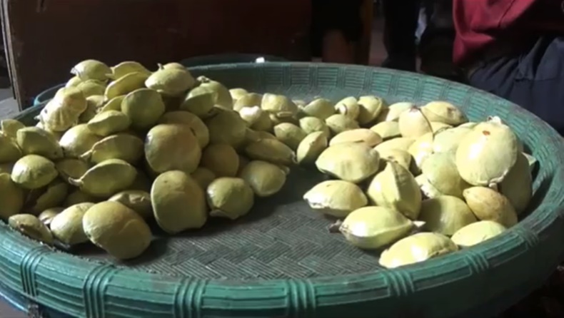 Jengkol Jengkol di Pasar tradisional Rangkasbitung, Lebak, Banten (Iskandar Nasution/iNews)
