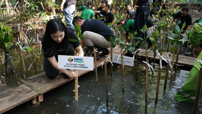 Jessica Tanoe Wildan Ketua III MNC Peduli Jessica Tanoesoedibjo saat menanam Mangrove di Pantai Indah Kapuk (PIK), Jakarta Utara, Jumat (13/3/2020). (Foto: iNews.id/Wildan Catra Mulia)