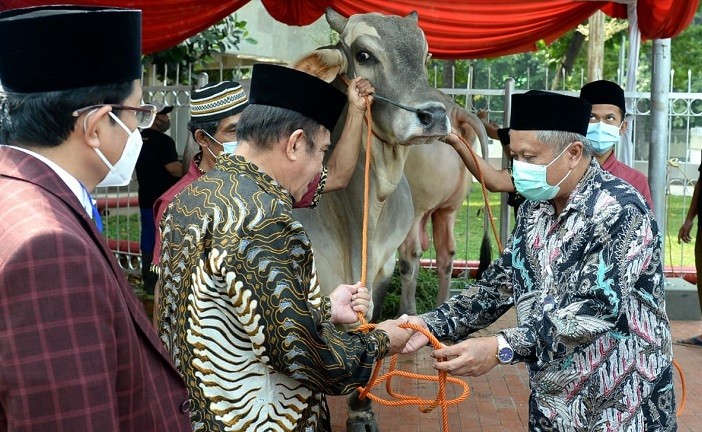 Menag Fachrul Razi menyerahkan sapi kurban peranakan Ongole berbobot 1 ton milik Presiden Jokowi ke Masjid Istiqlal, Jakarta, Kamis (30/7/2020). (Foto: ist)