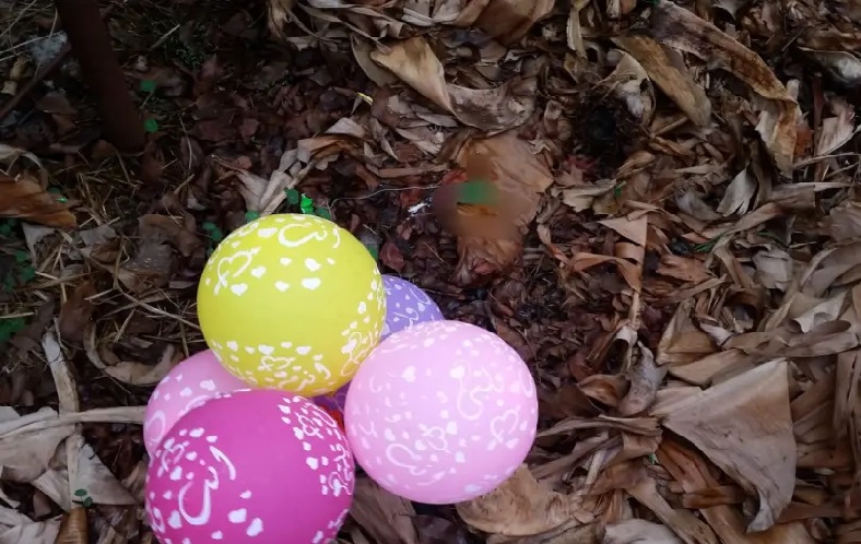 Balon peledak Hamas Balon yang membawa bahan peledak kiriman Hamas ke wilayah Israel (foto: Jerusalem Post)
