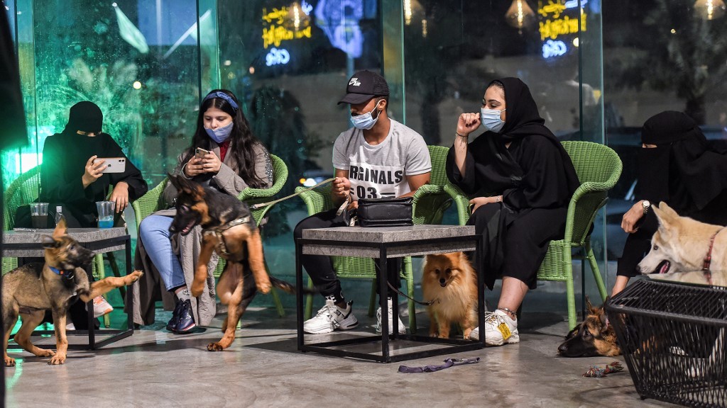 Pertama di Arab Saudi, Kafe Ini Jadi Tempat Bersenang-senang Anjing dan