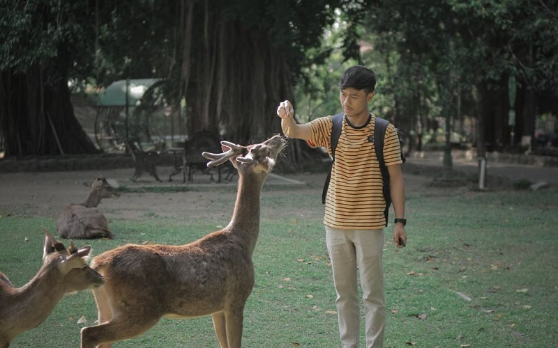 Taman Balekambang (Foto: Instagram IG@hvnrynt_)