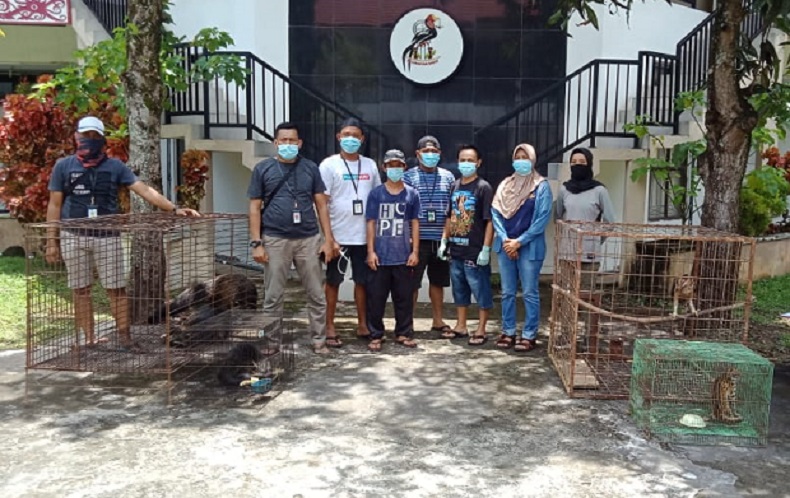 Pemelihara elang jawa di sekadau Polda Kalbar mengamankan pemilik Elang Jawa tanpa izin sah di Kabupaten Sekadau. (iNews.id/Faisal Abubakar)