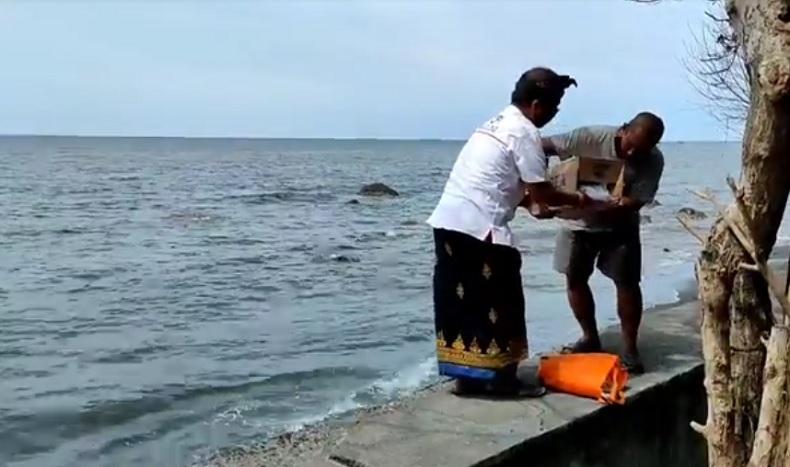 Mayat bayi buleleng 2 Mayat bayi laki-laki ditemukan di Pantai Camplung, Singaraja, Buleleng, Bali. (iNews.id/Pande Wismaya)