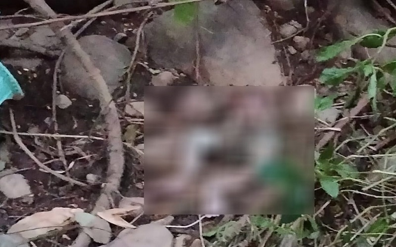 Mayat Bayi Ditemukan Di Pinggir Sungai Cisadane Bogor Warga Sempat Mengira Boneka