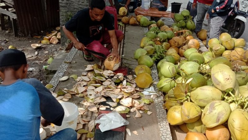 Pedagang musiman buah kelapa muda. (Foto: Antara)