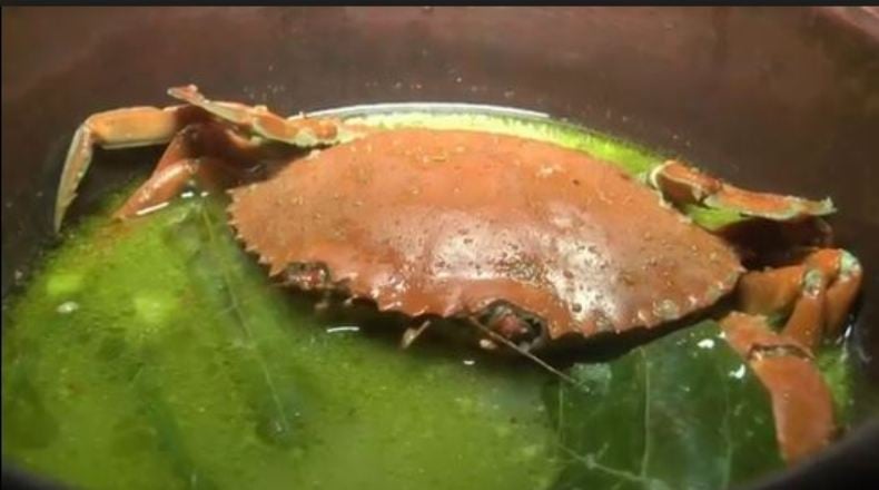 Kuliner Kepiting Gokil, Nikmatnya Sampai Sudut Tulang 