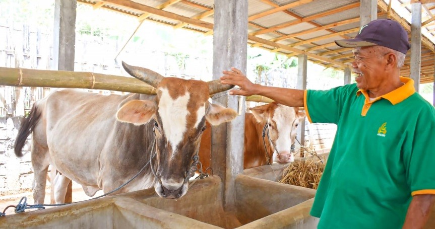 Sejarah Qurban Nabi Ibrahim: Cikal Bakal Penyembelihan Hewan Saat Idul Adha