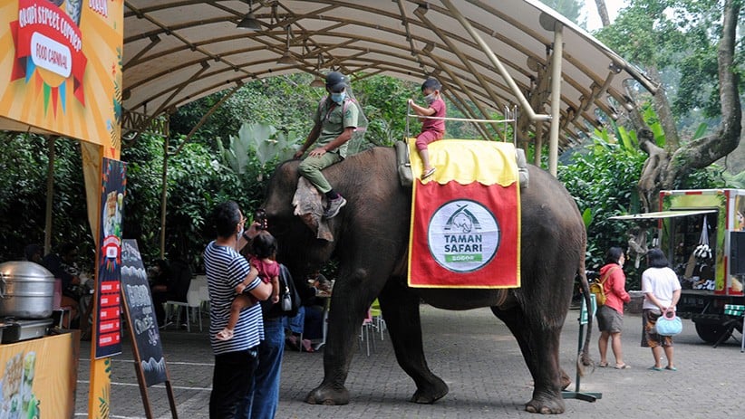 7 Tempat Wisata Bogor yang Buka Saat Lebaran 2024, Nomor 4 Air Terjun Buatan Pertama di Indonesia 