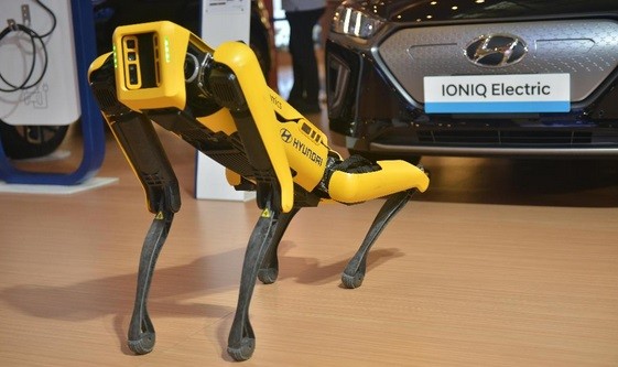Robot Spot 1