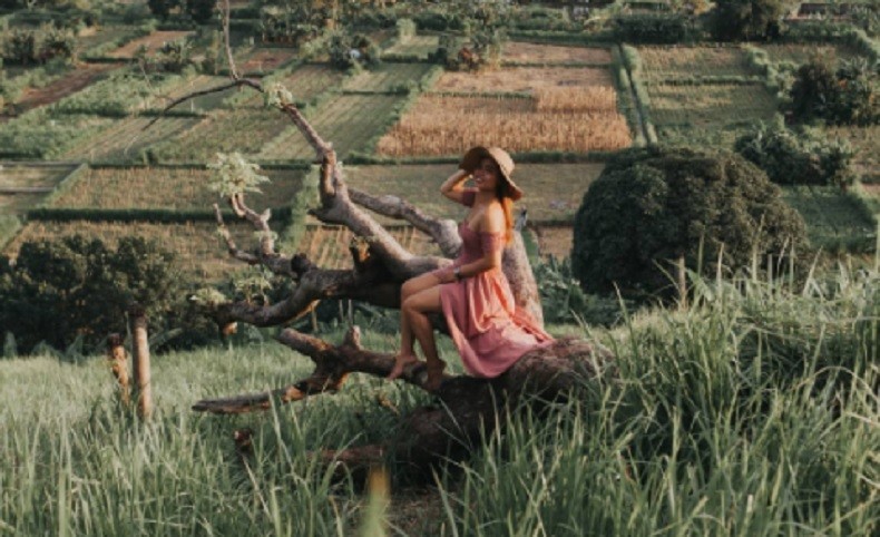 Tempat Hunting Foto Bukit Belong Bali Bukit Belong Bali. (Foto Instagram @chipoopoci)