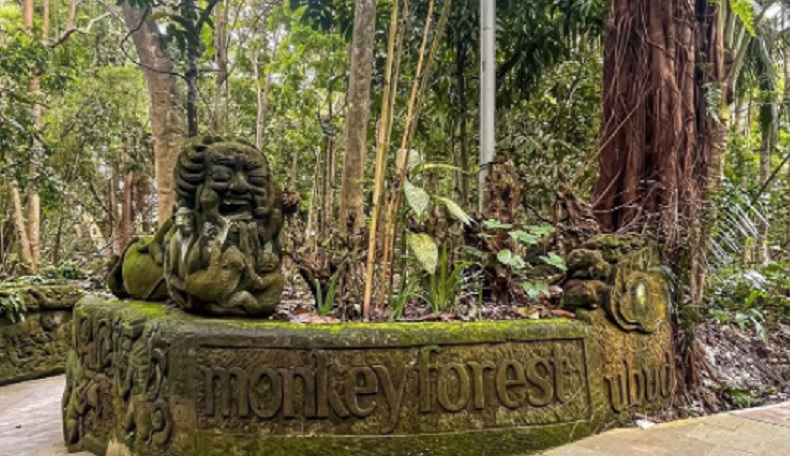 Sacred Monkey Forest Ubud Sacred Monkey Forest Ubud, Gianyar, Bali. (Foto: Instagram @aririyant)