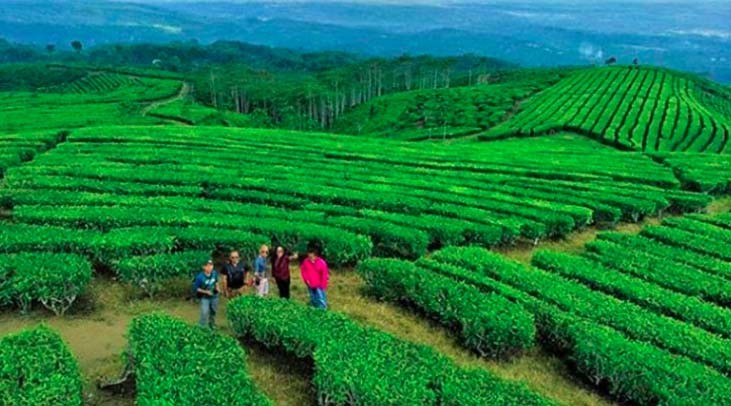 14 Wisata Di Lumajang Tempat wisata di Lumajang yang wajib dikunjungi para pencinta alam. (foto: Instagram)