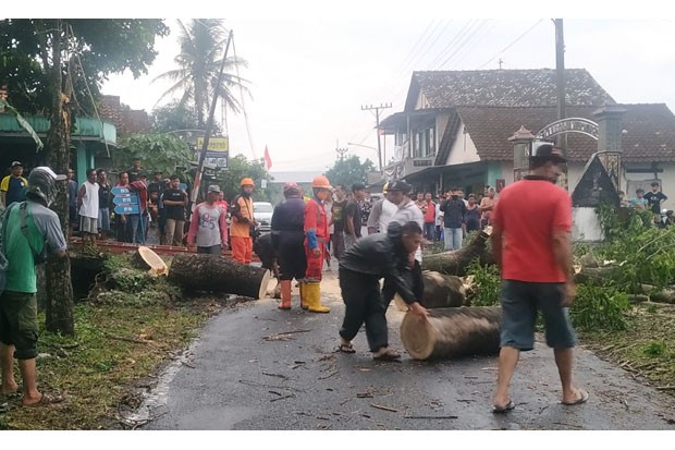 Pohon Petugas, relawan dan warga melakukan pembersihan pohon tumbang di Jetis, Catuharjo, Sleman, Sleman, Senin sore (18/10/2021). (Foto : Dok BPBD Sleman)