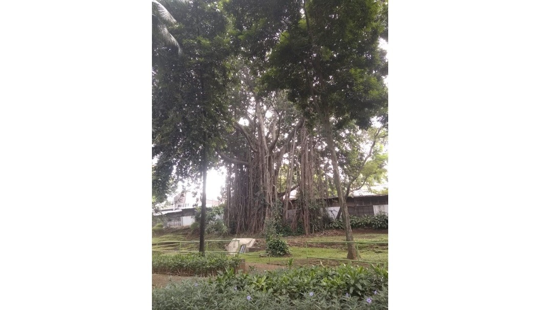 Podcast 1 Taman Langsat