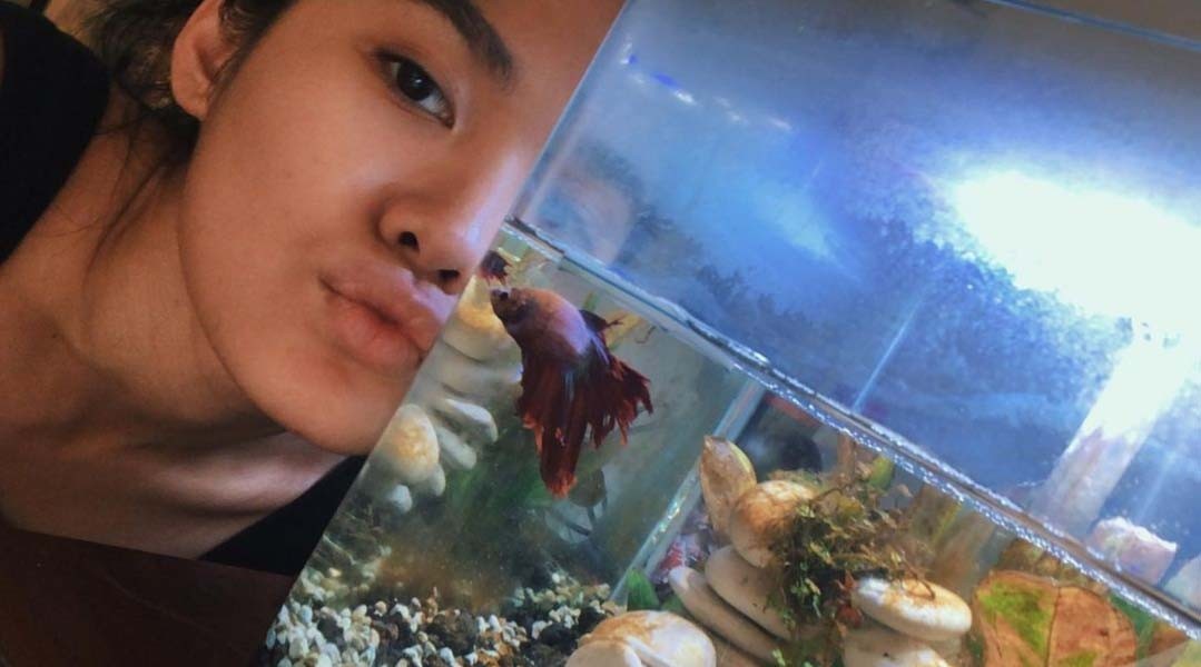 Deretan artis Indonesia ini ternyata hobi memelihara ikan cupang. (Foto: Instagram)
