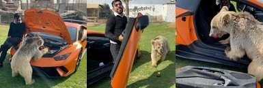 Lamborghini 1