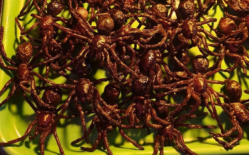 Kuliner ekstrem tarantula goreng (Foto: Instagram taripapex)