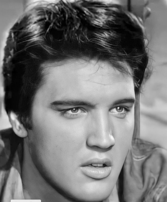 Penyanyi dengan lagu terbanyak di dunia. (Foto: istimewa)