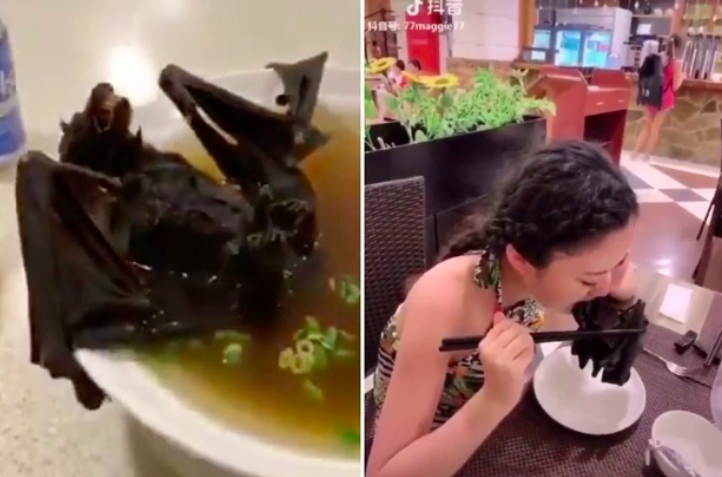 Makanan Paling Ekstrem di Dunia. (Foto: istimewa)