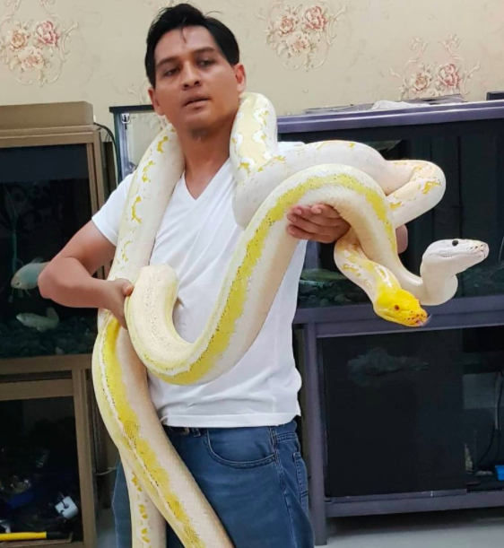 Artis yang Hobi Pelihara Hewan. (Foto: instagram)