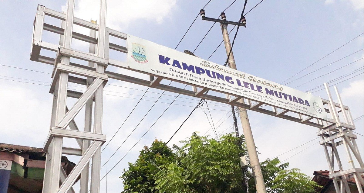 Mimpi Ahmad Husnaeni Bangun Desa Wisata Lele di Karawang (Bagian II - Habis)