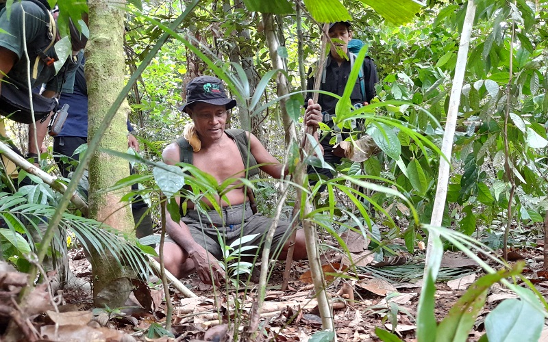 Sang Pemburu Harimau Taubat Mengubur Alat Buruannya di Hutan (Foto: iNews/Demon Fajri)