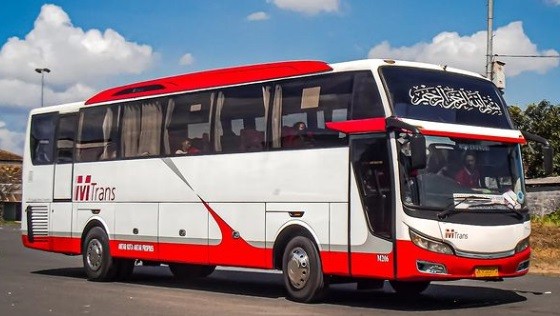 Bus M TRans